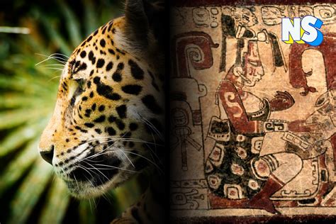 ¡La Leyenda de la Mujer Jaguar: Una Historia de Transformación, Amor y Sacrificio en el México del Siglo VI!