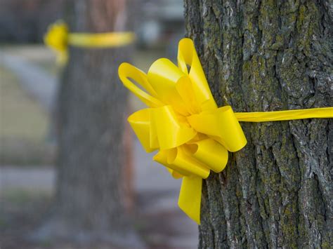  ¿Yellow Ribbons: Un Canto a la Esperanza y la Perseverancia en Tiempos Oscuros?